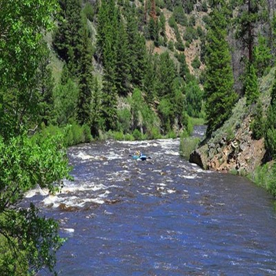 river in forest